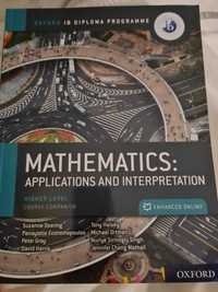 Mathematics: applications and interpreation