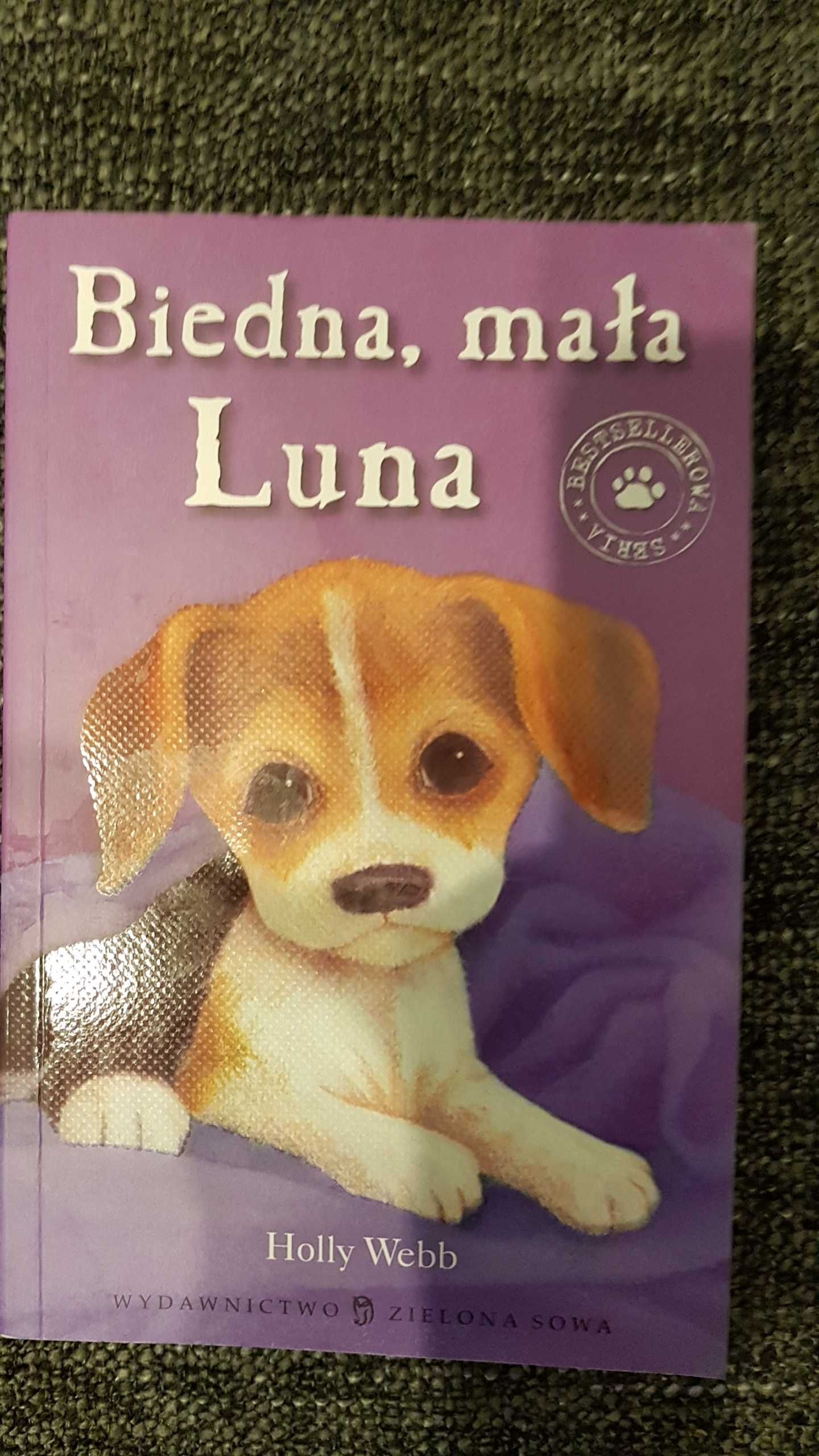 NOWA Biedna, mała Luna - o piesku Tom 19 Zaopiekuj się mną Holly Webb