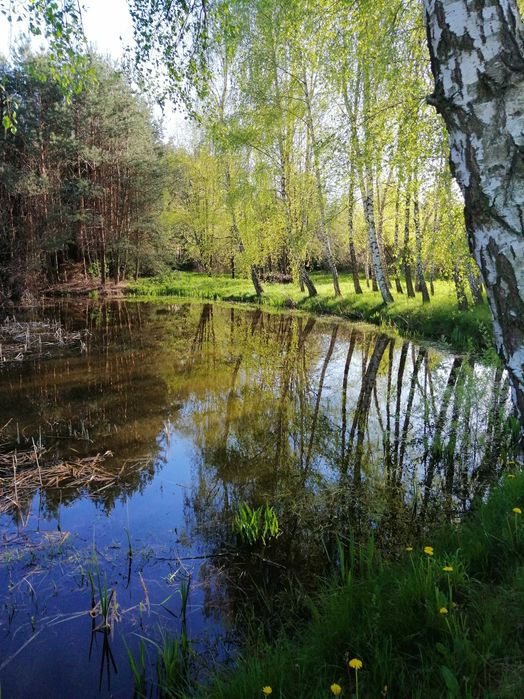 Przepiękna działka w Rozkopaczewie dla rodziny lub inwestycyjnie