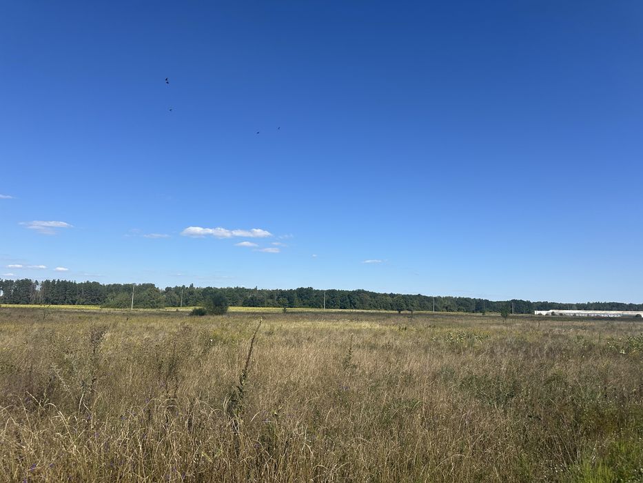 Пропонуємо до продажу земельну ділянкув с. Свидівок