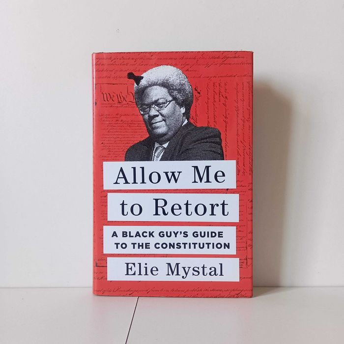 Allow Me To Retort A Black Guy's Guide To The Constitution