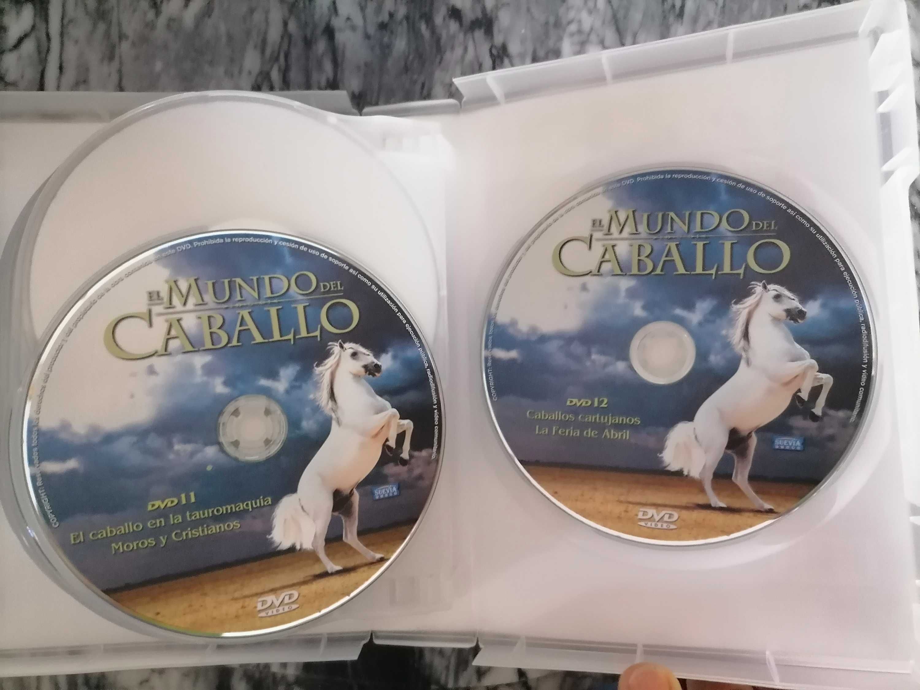 DVD "O Mundo do Cavalo"