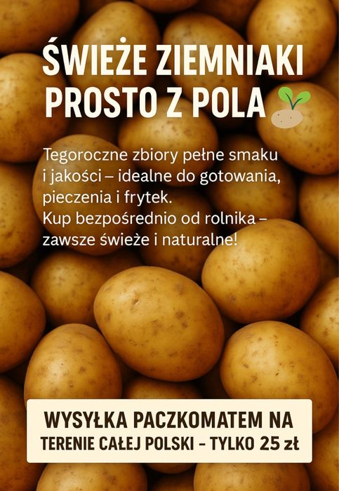 Świeże ziemniaki prosto od rolnika – TANIO!