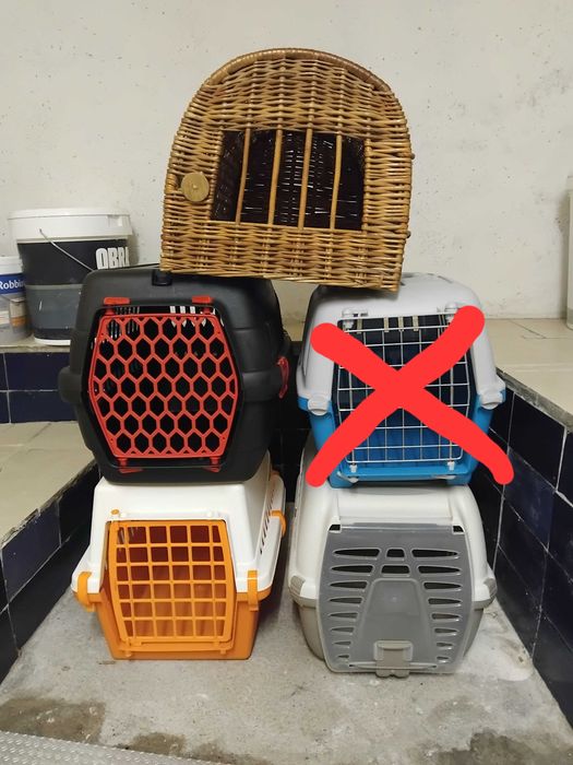 5 Transportadoras cão pequeno/gato