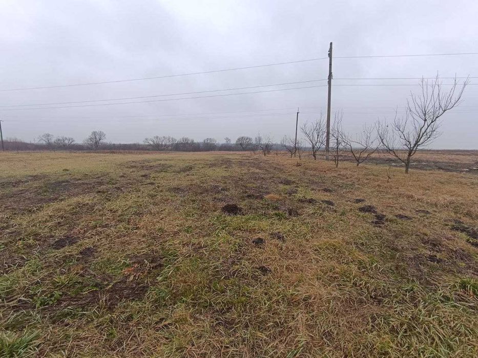 Продаж будинку в с.Дуби