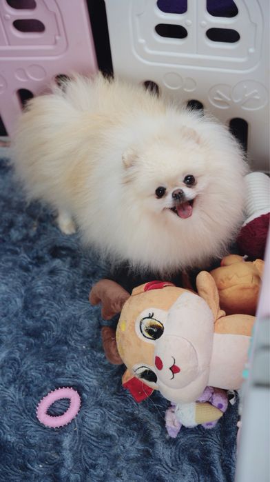 Piękna dziewczynka ra