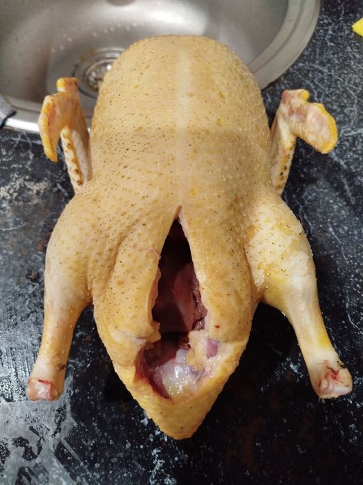 Продам тушки домашніх качок шипунів