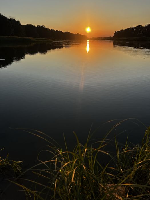 Działka budowlana pod lasem z domkiem letniskowym całorocznym