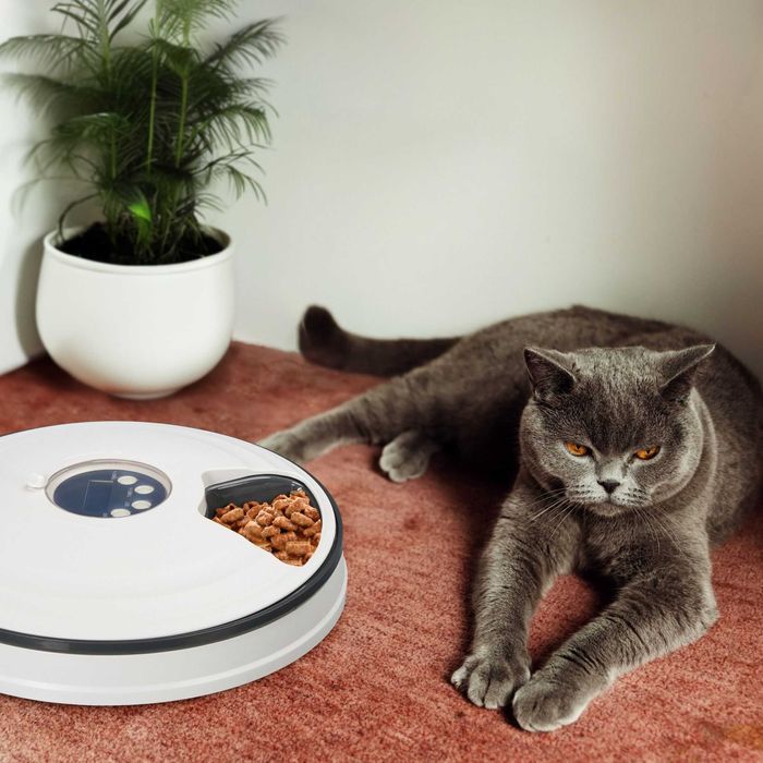 Automatyczny Podajnik Karmy Dozownik dla Kotów Automat do Karmienia