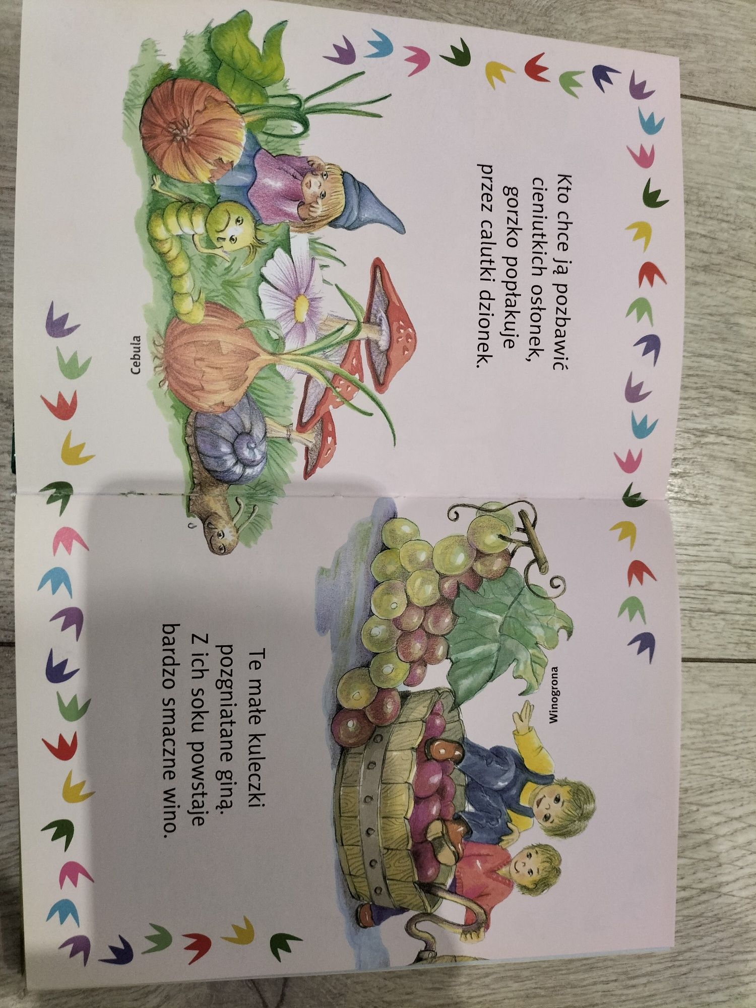 Zgadnij co to! Książka z zagadkami dla dzieci