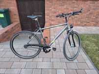 Rower Pegasus Avanti Sport