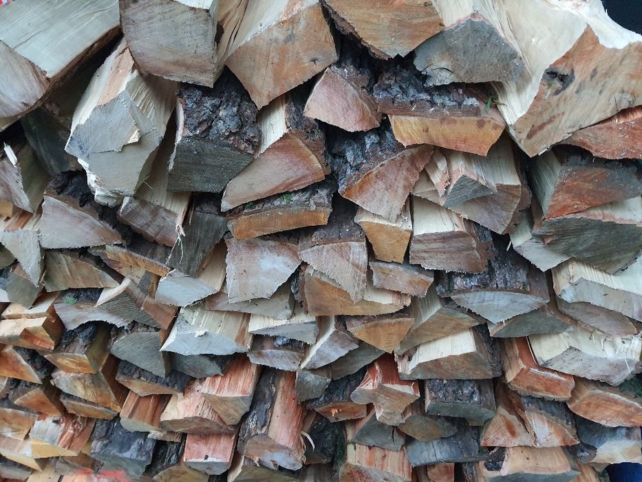 Olcha do wędzenia Buk 40kg odkorowane