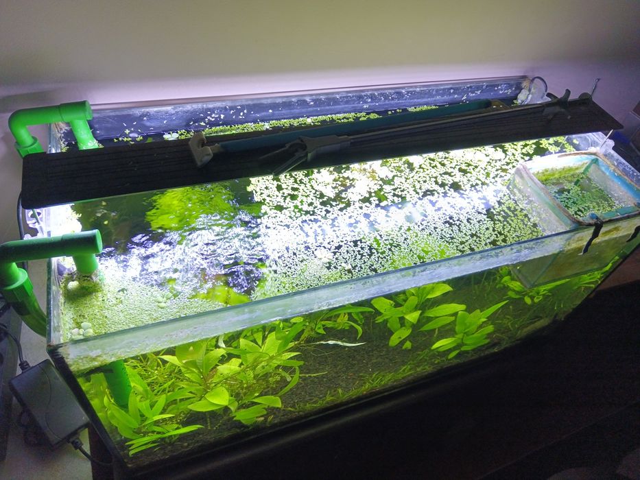 Akwarium 112l zestaw + akcesoria