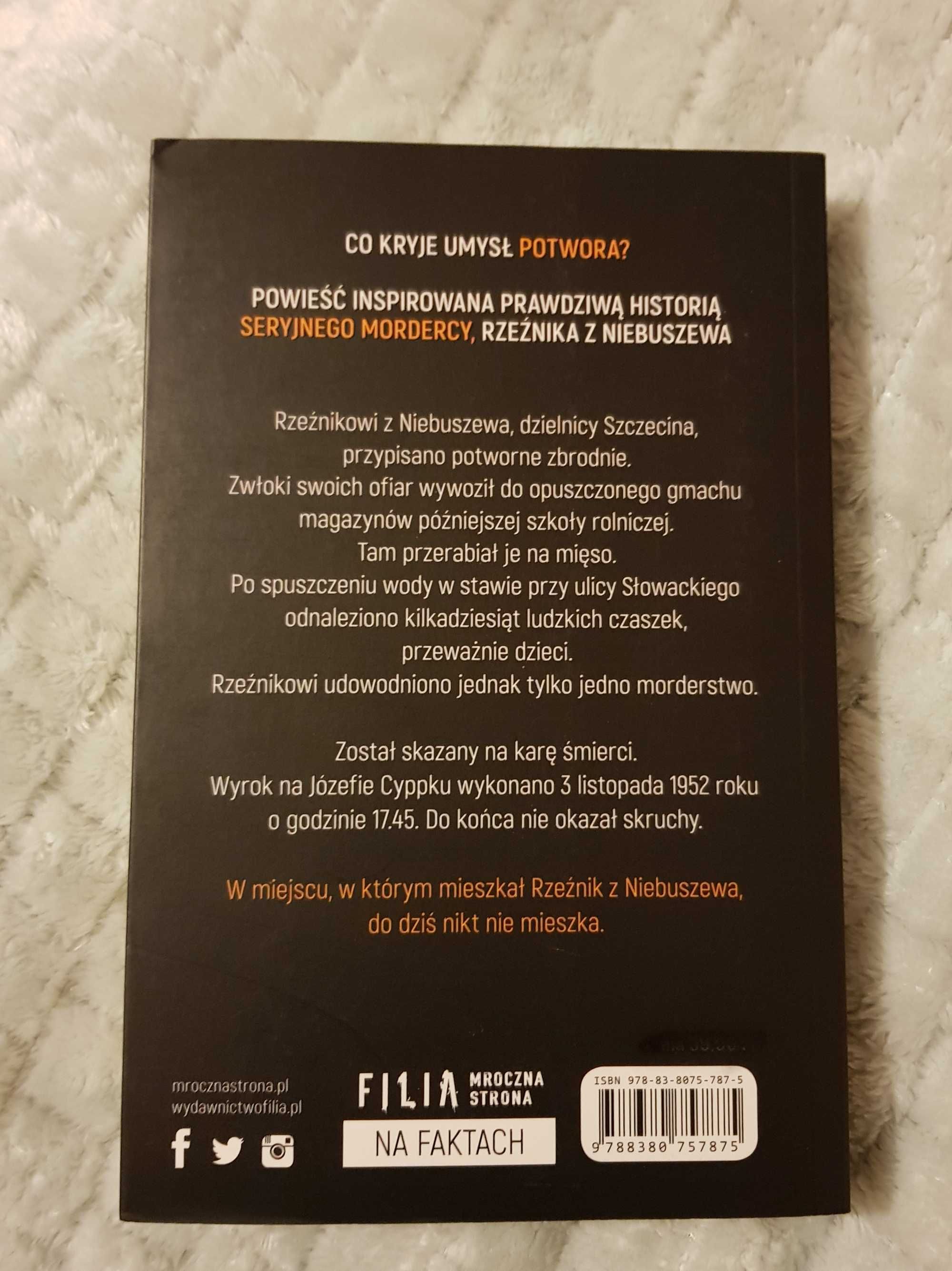 książka Rzeżnik w stanie idealnym