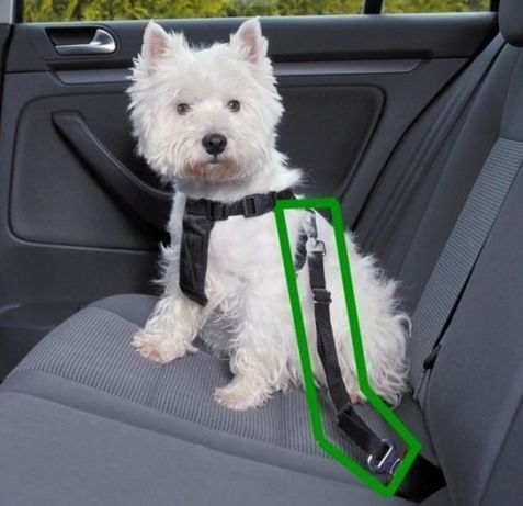 Pas bezpieczeństwa do samochodu dla psa Trixie