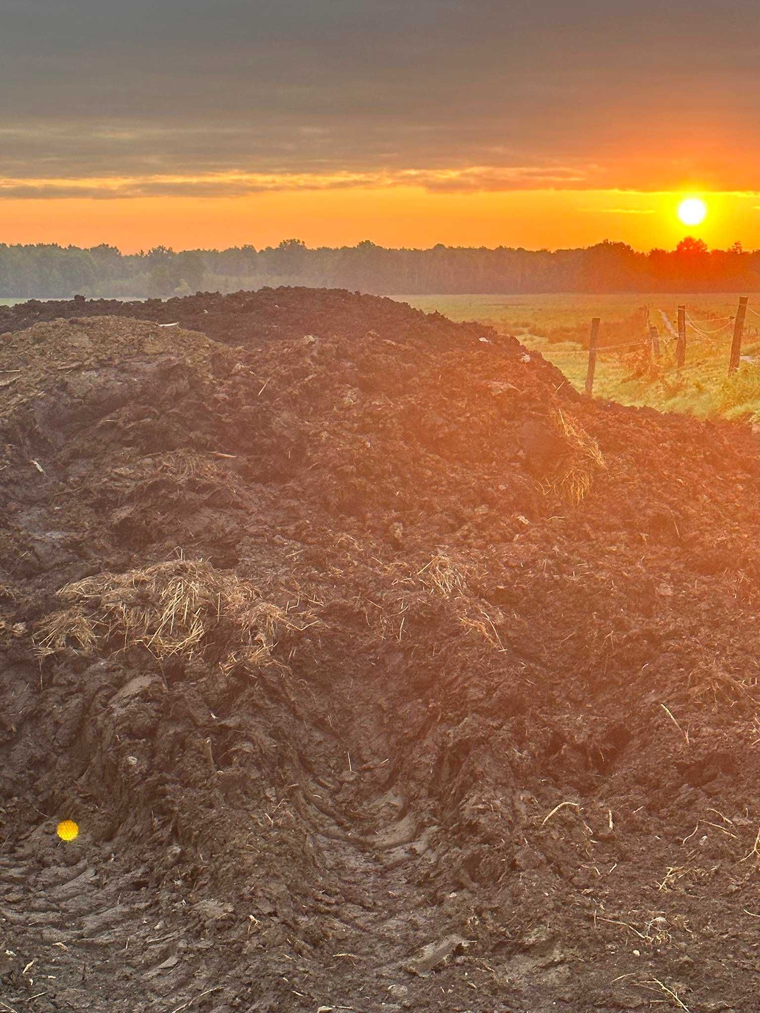 Obornik bydlęcy sprzedam PILNE