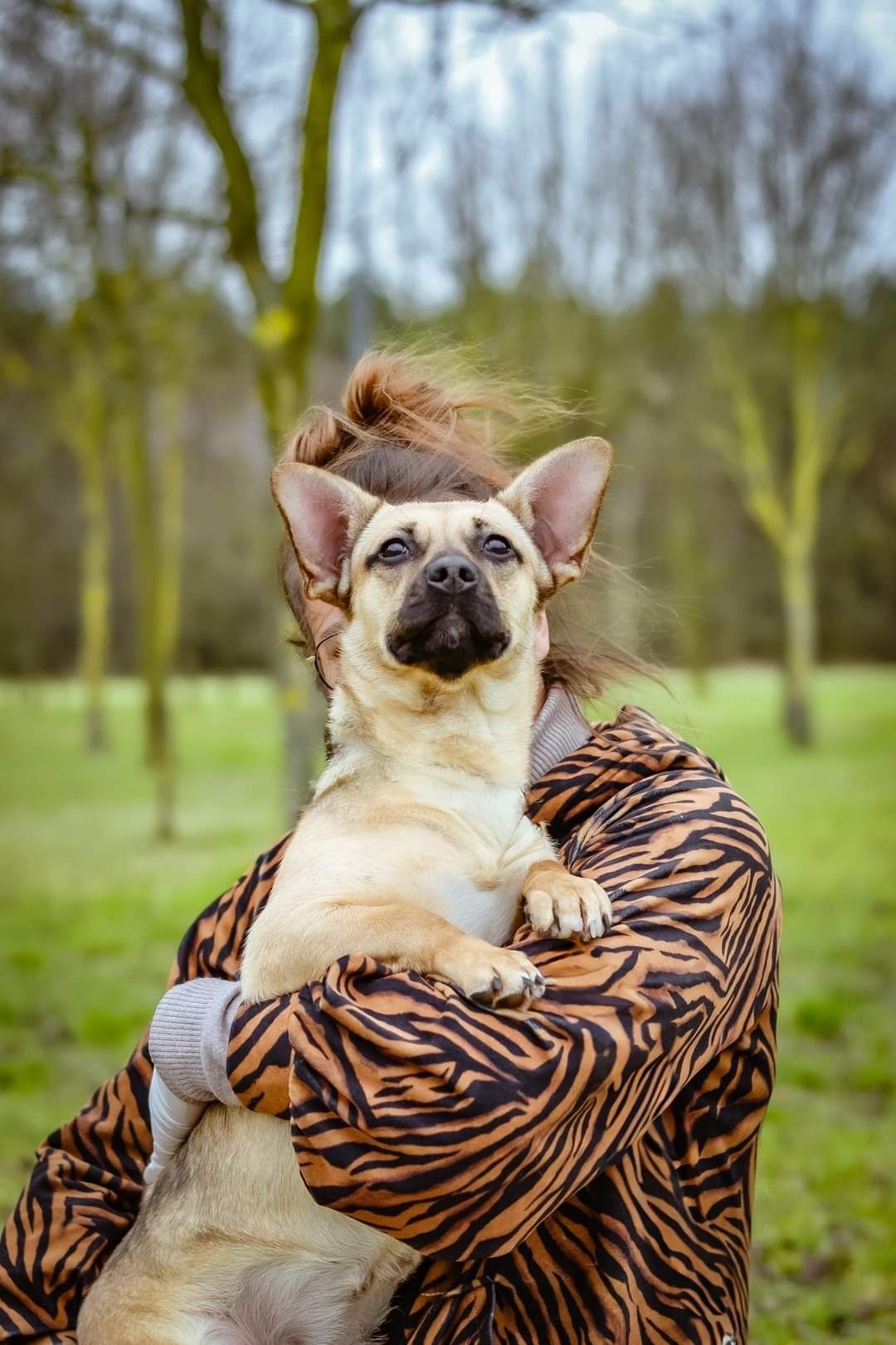 Podrośnięty szczeniak do adopcji! Wesoła, pogodna sunia do pokochania!