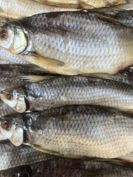 Малосольна вʼялена плотва.