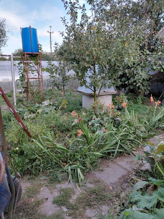 Продам будинок в Боровій