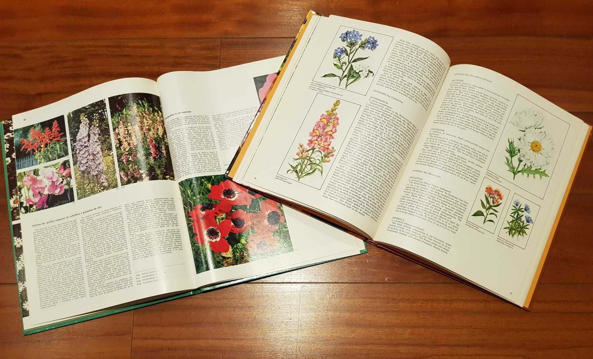 Livros sobre Flores