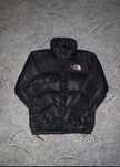 пуховик tnf