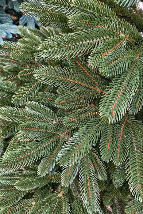 Искусственная Литая Ёлка елка ялинка ялиночка Ковалівська Буковельська