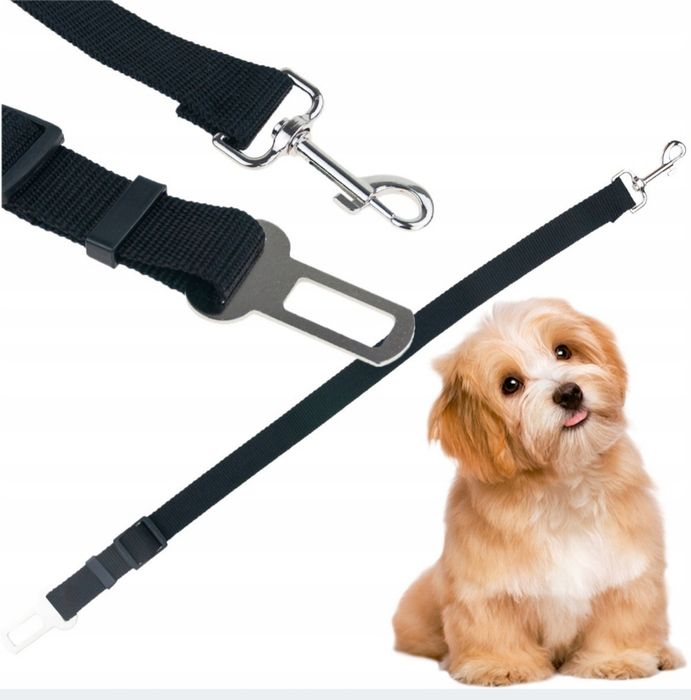 Smycz samochodowa dla psa