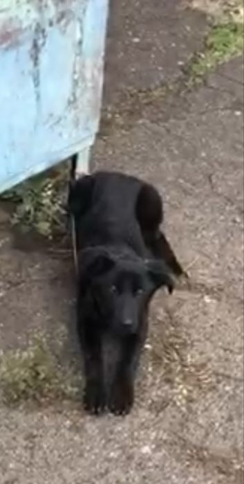 Може хтось шукає