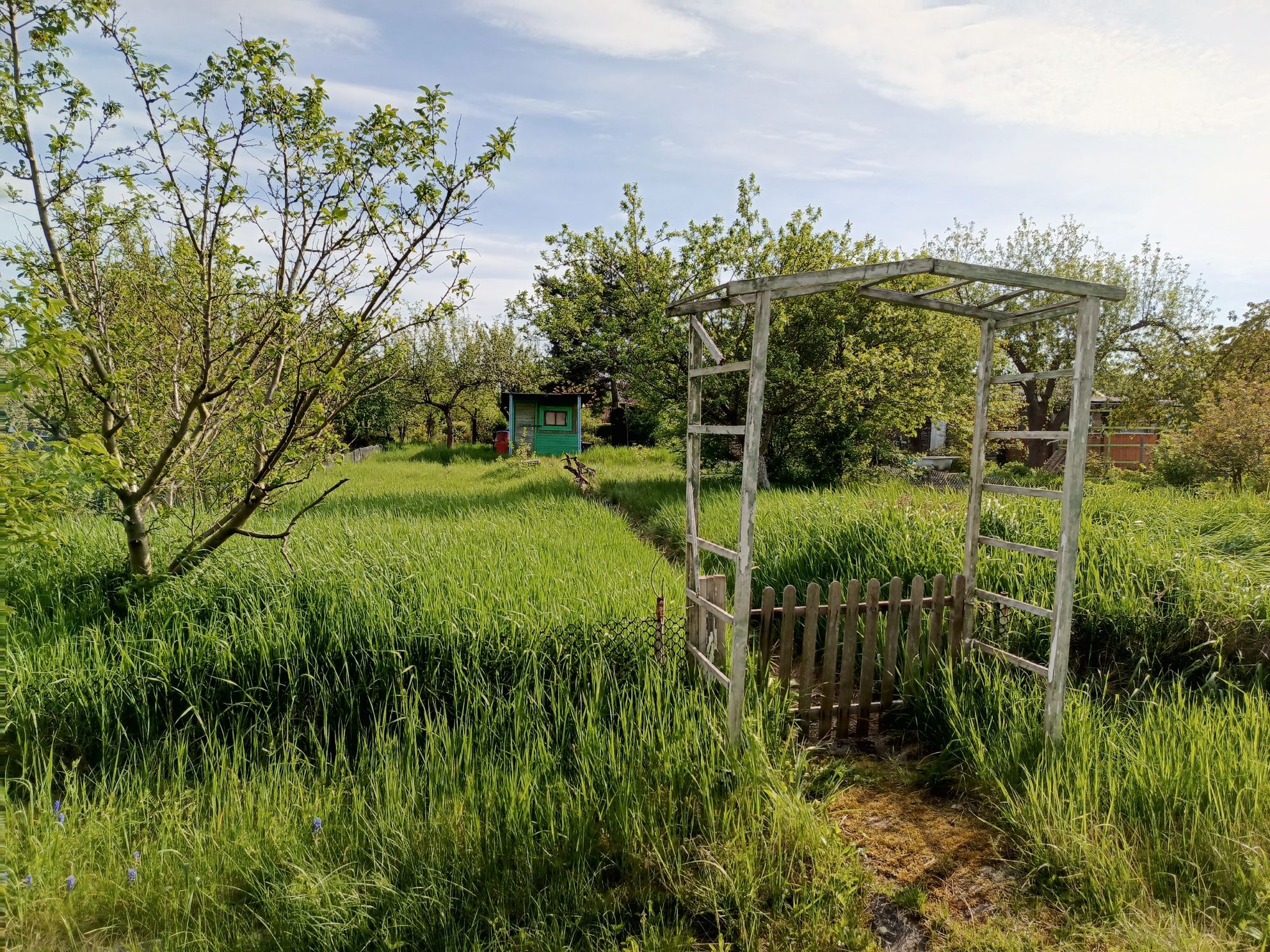 Kozanów, ogródek