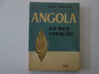 Angola do meu coração- João Falcato