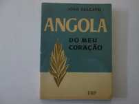 Angola do meu coração- João Falcato