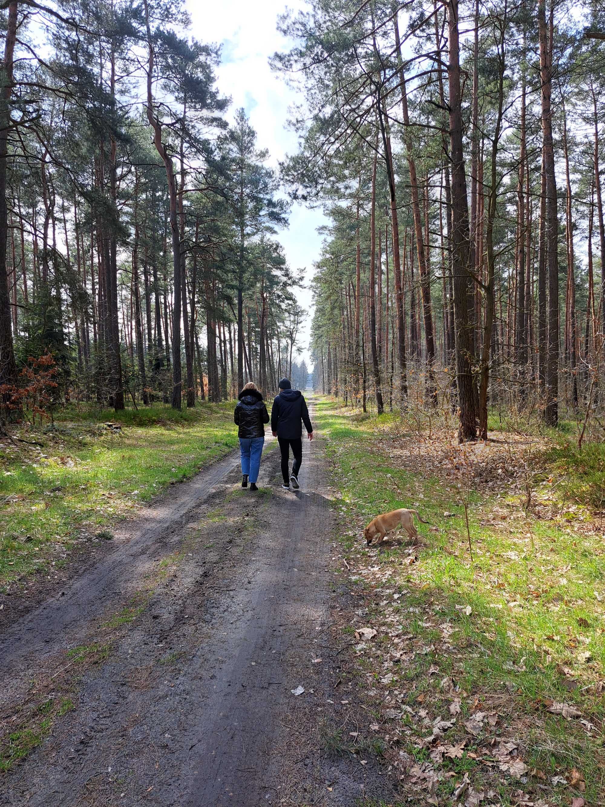 Działka budowlana obok lasu i blisko do rzeki w  Oksie