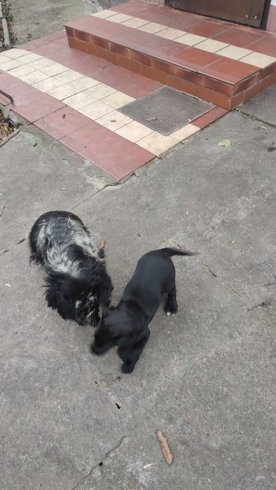 Дівчинка красуня три місяці