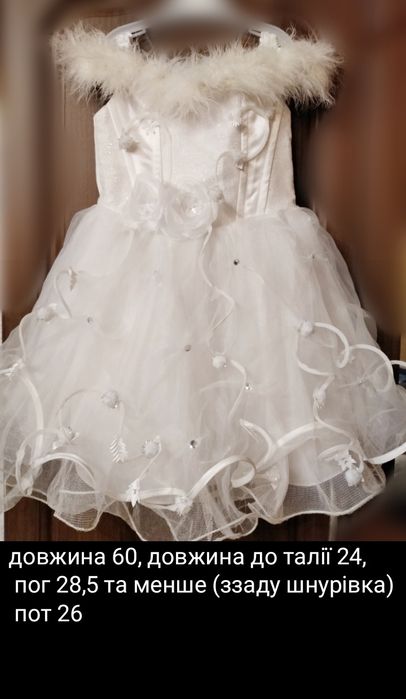 Прокат лише по м.Рівне костюми жаба лисичка білочка весна