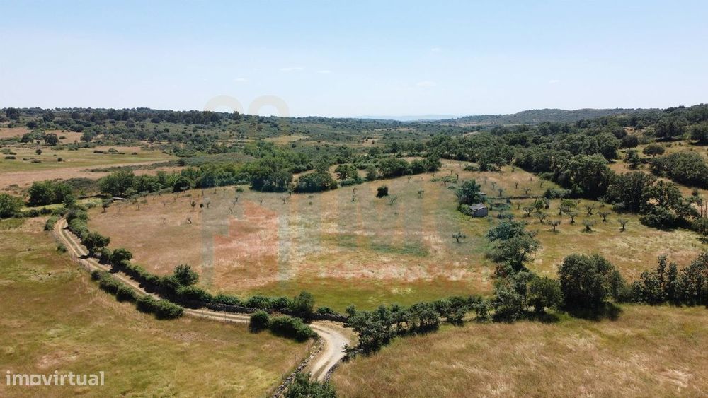 Quinta em Oledo - 10 min de Idanha e 30 de Castelo Branco