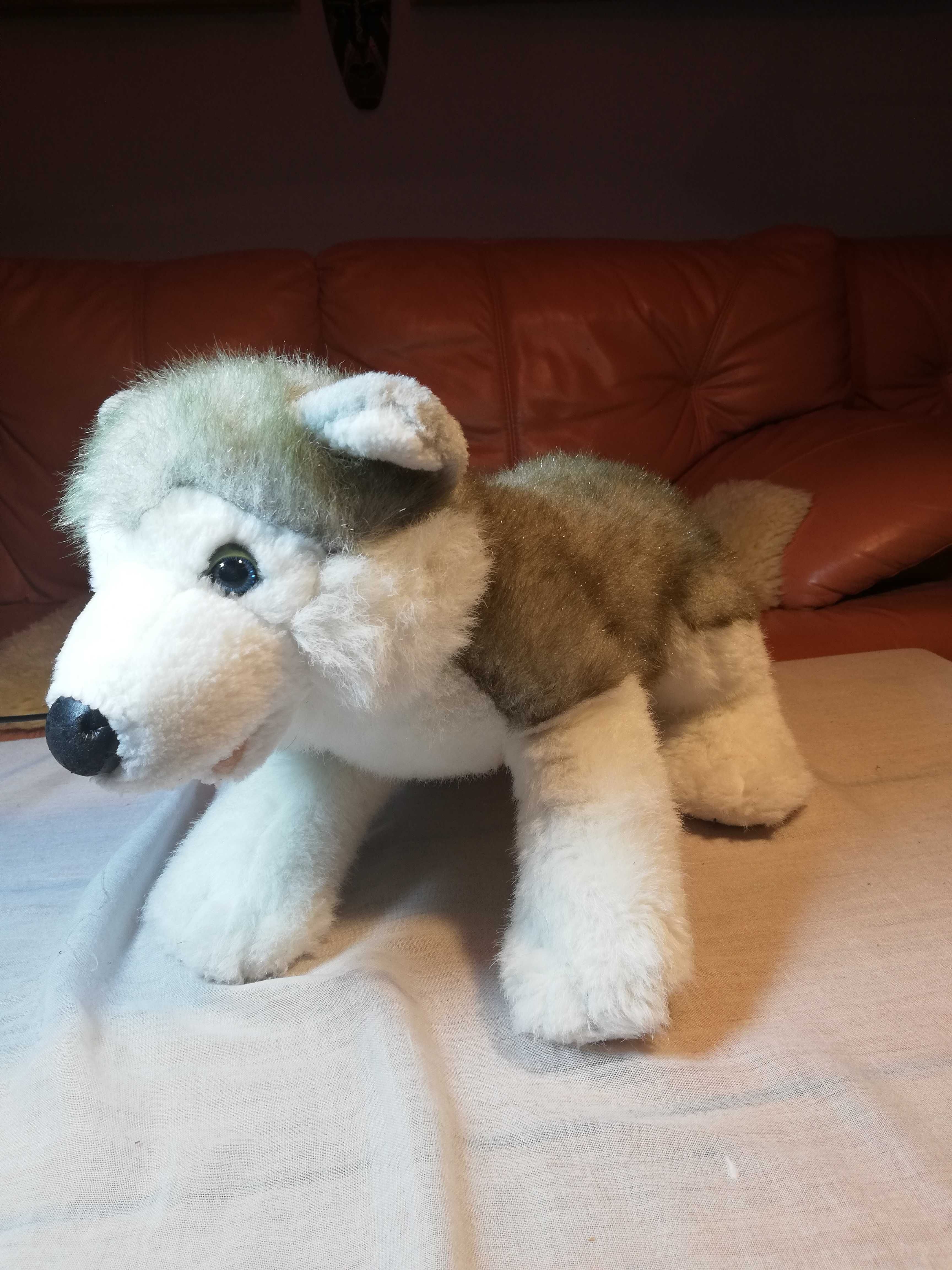 Maskotka szczeniak Husky syberyjski 42 cm