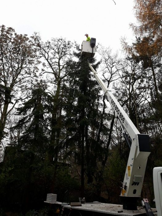 Pielęgnacja ogrodów wycinka drzew usługi kosą spalinową