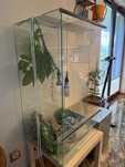Terrarium dla kameleona, jaszczurki