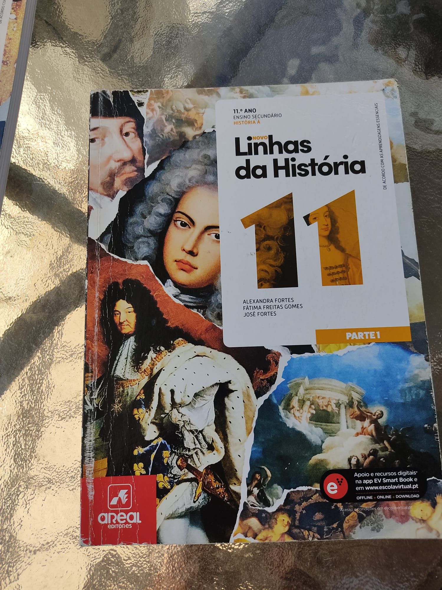 Manuais 11 ano história A