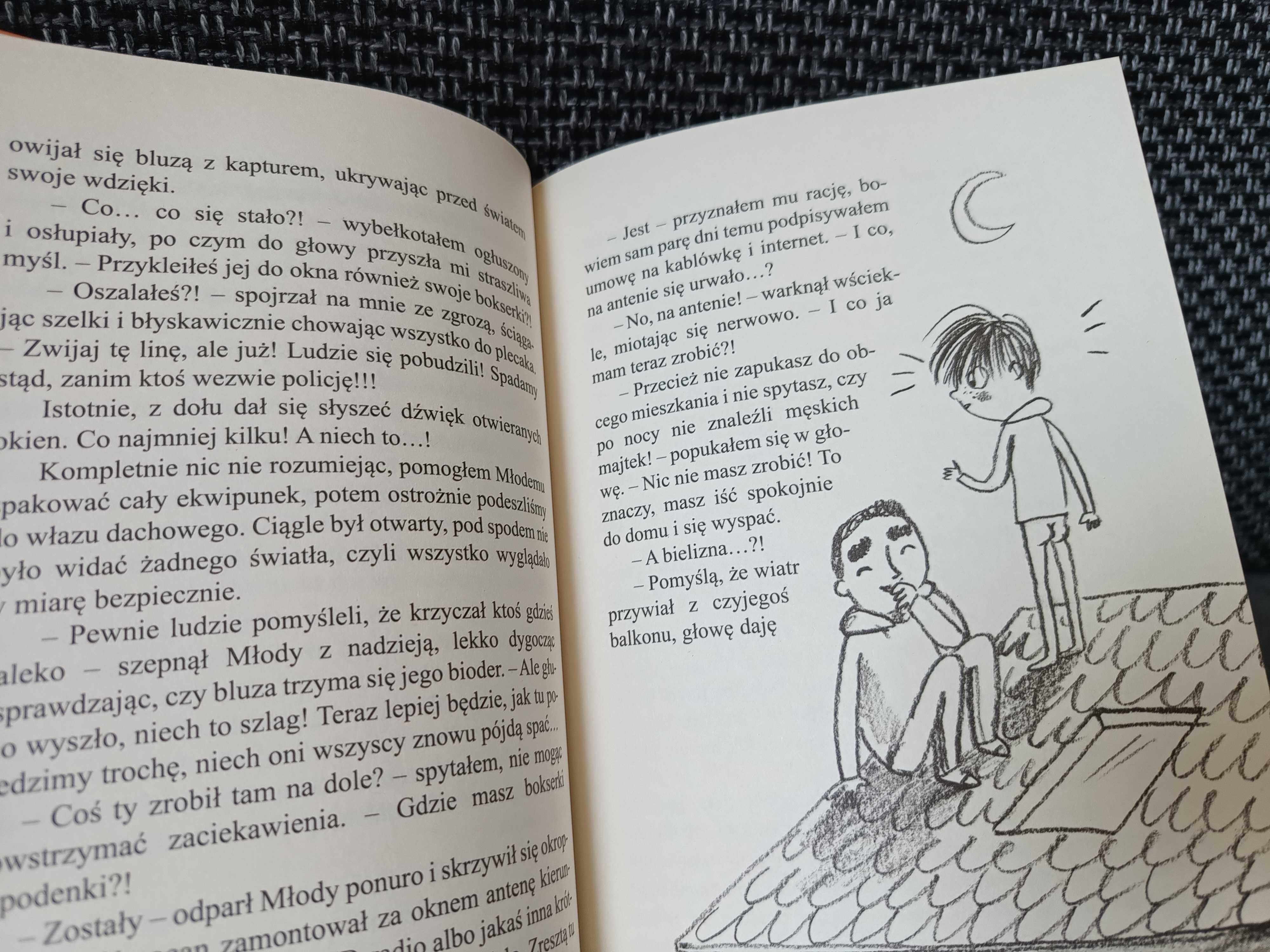 Książka dla dzieci "Sposób na elfa" - Marcin Pałasz, stan bdb