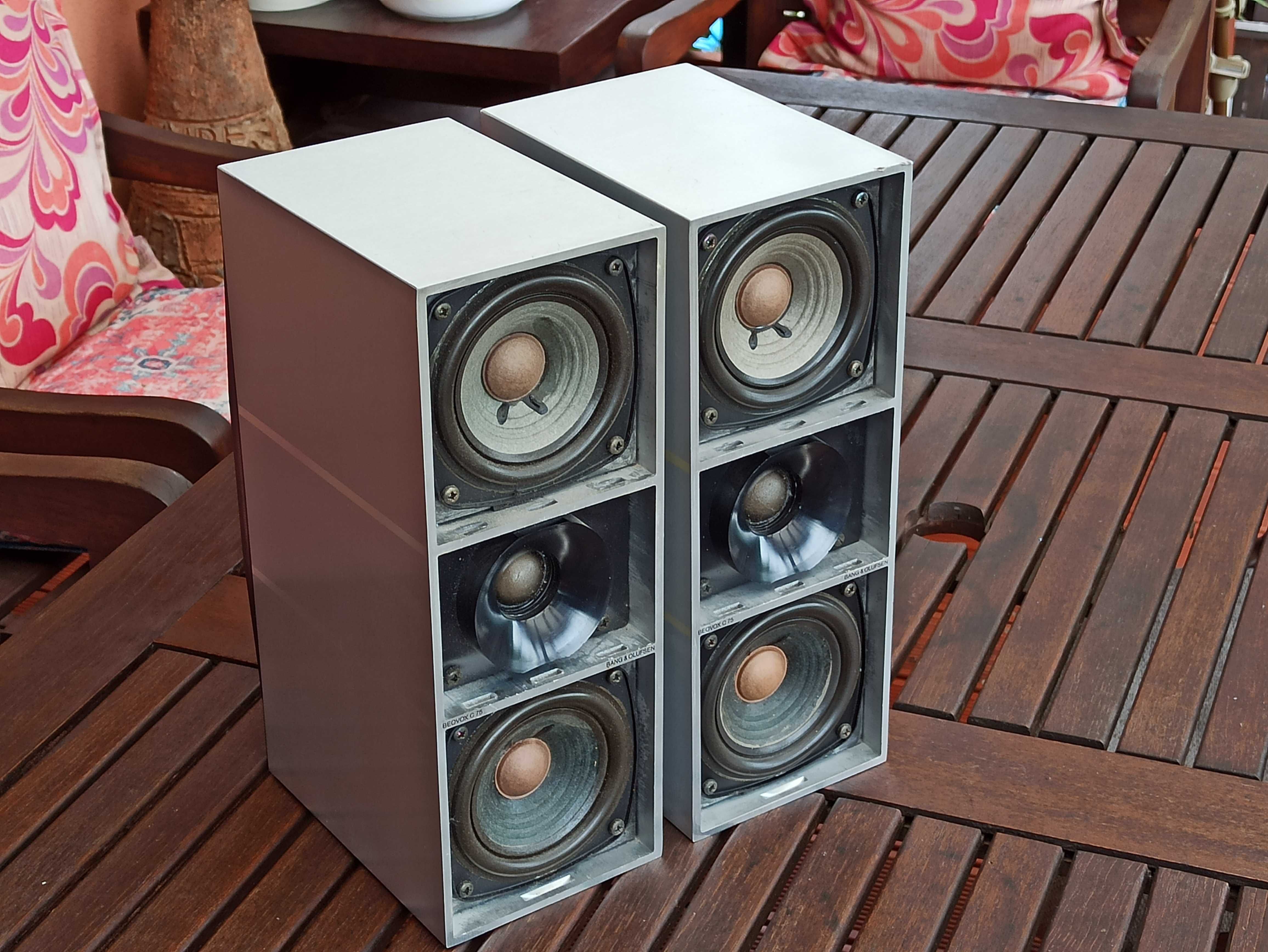 Kolumny Beovox C75 Bang & Olufsen