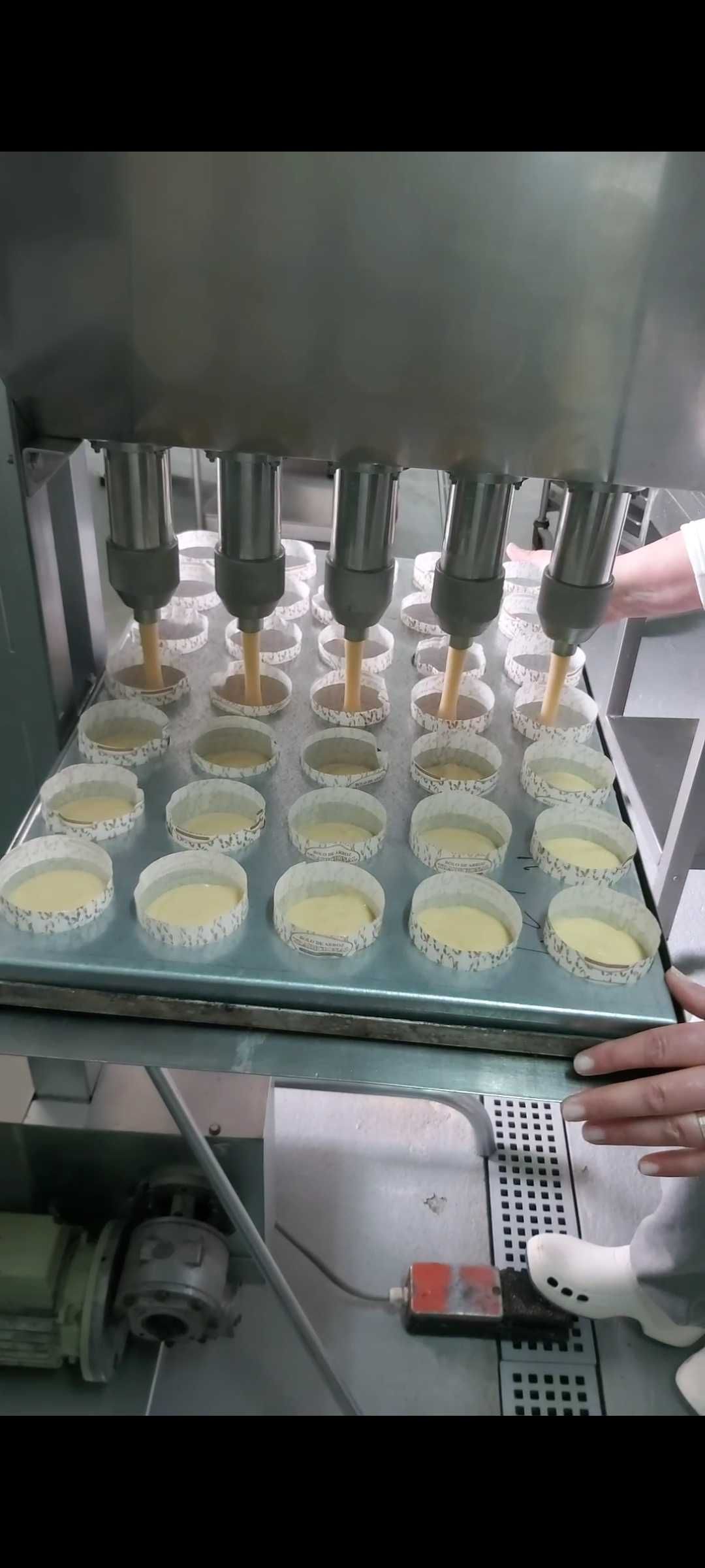 Linha doseadora de natas/queques/madalenas Formex