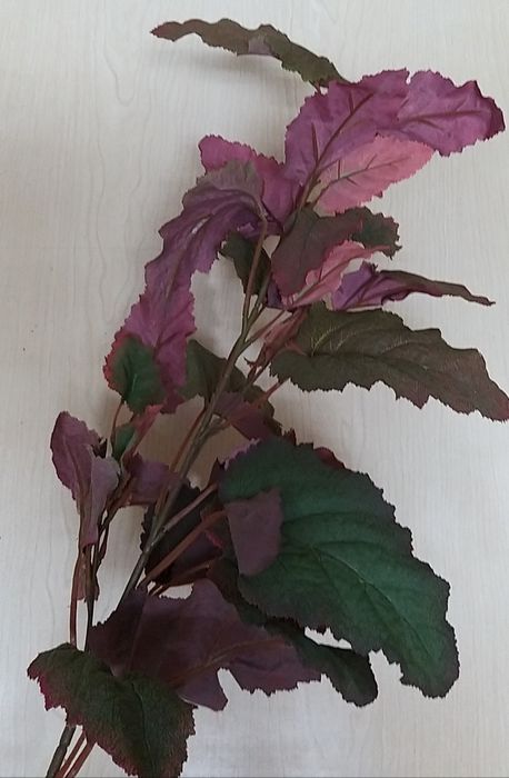 Malvas artifíciais.