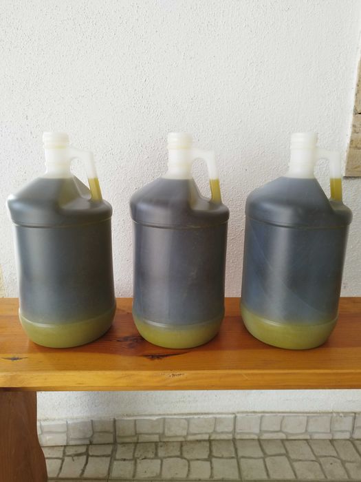 Vende-se azeite do produtor