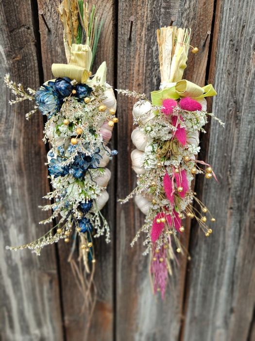 Warkocze z czosnku harnaś czosnek polski warkocz dekoracja rękodzieło