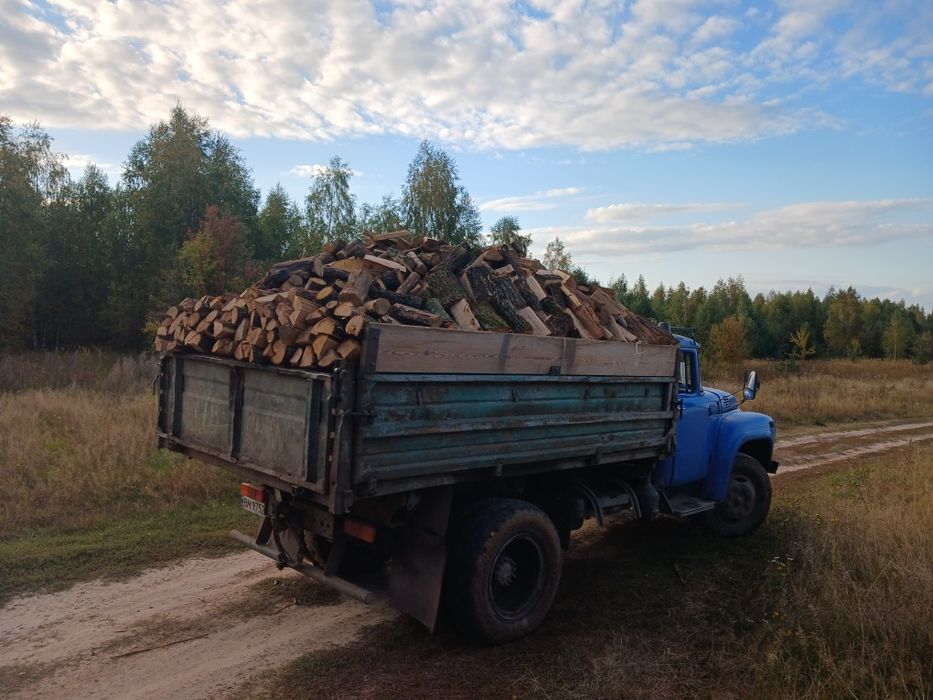 Дрова різних порід.