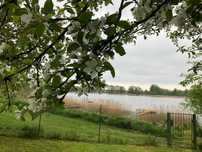 DOMEK NAD JEZIOREM pierwsza linia brzegowa