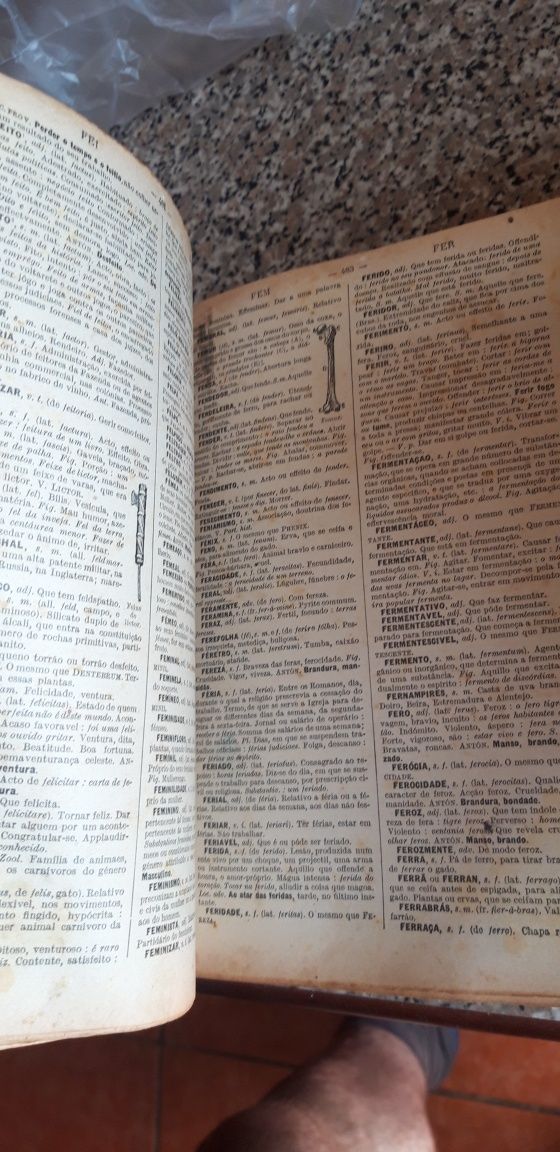 Dicionário Prático Ilustrado 1928