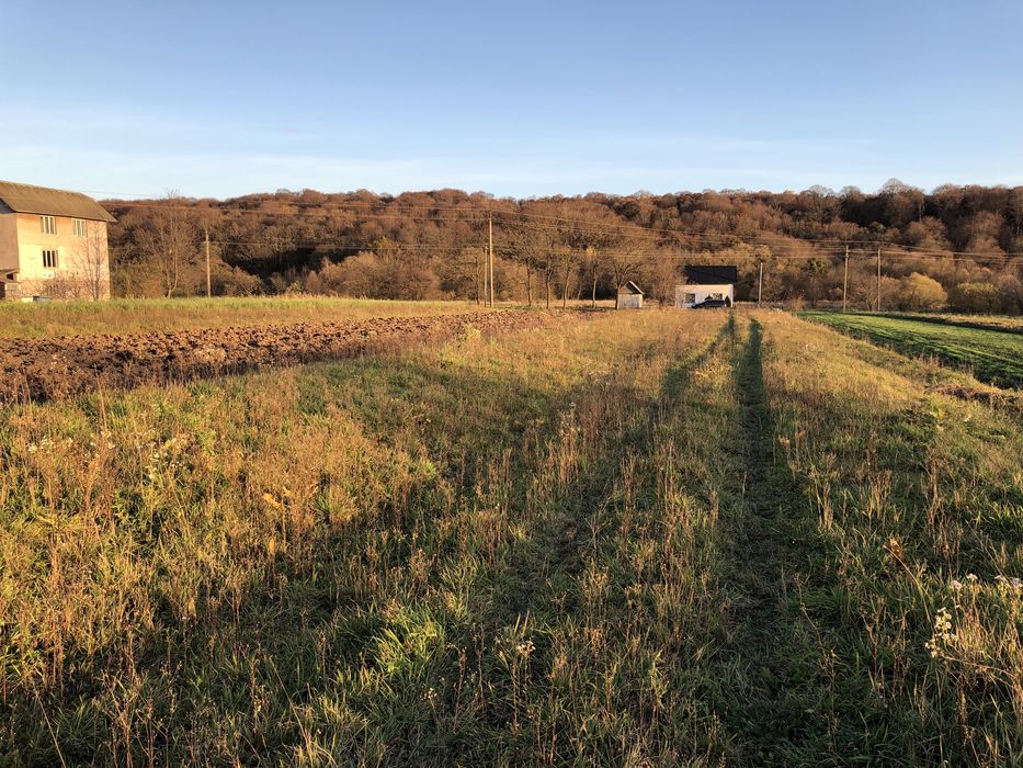 Земельна ділянка