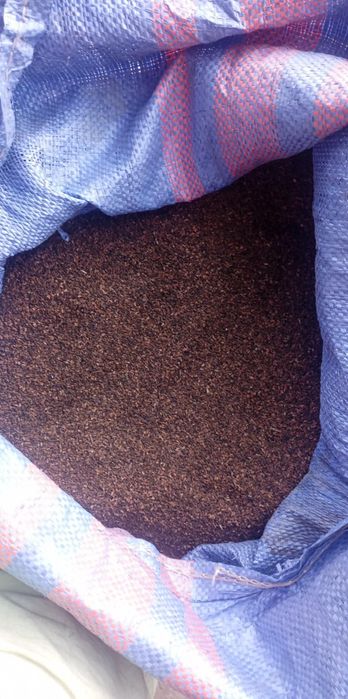 Sprzedam facelie błekitną